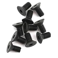 Mugen Seiki 4x8mm SJG Flat Head Screw (10)